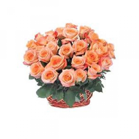 Expression - 24 Stems In Basket